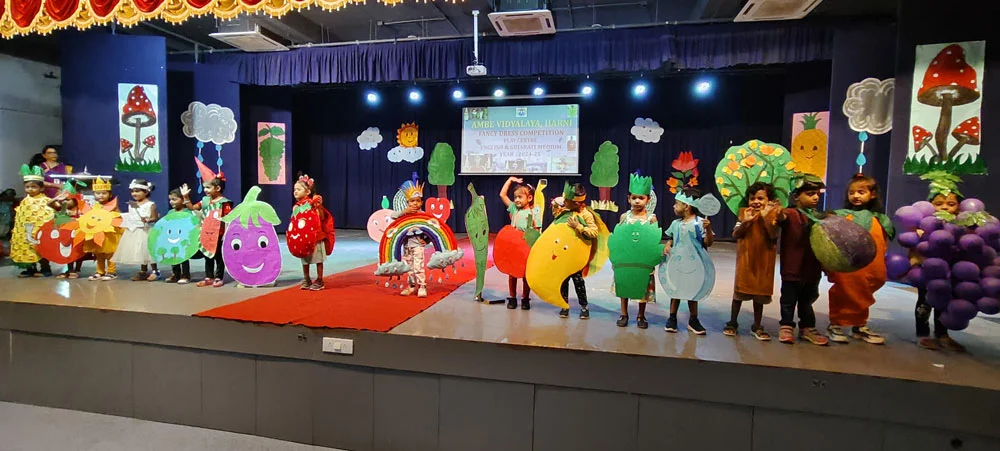 Ambe Group of Schools | Fancy Dress Competitions